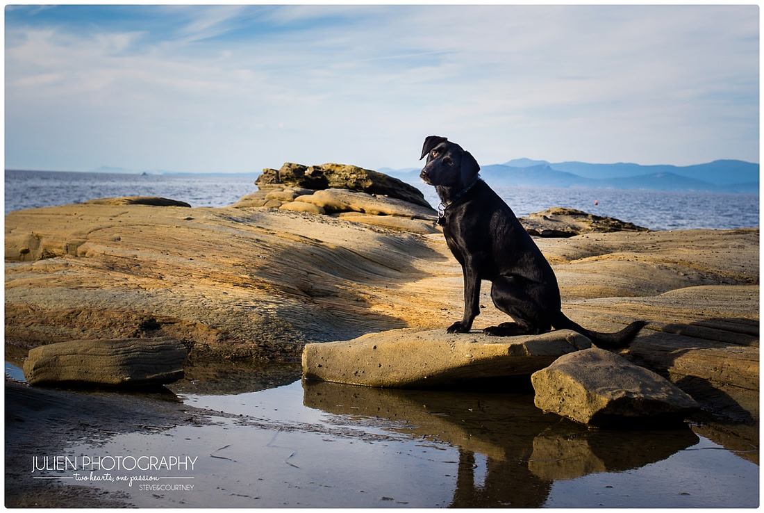Julien Photography